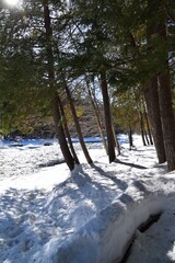 Darwin waterfalls in southern Quebec