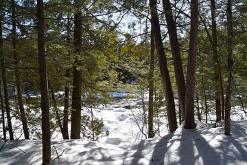 Darwin waterfalls in southern Quebec