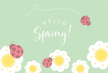 vector background with lady bugs and flowers for banners, cards, flyers, social media wallpapers, etc.