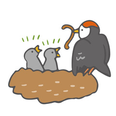 燕の巣 ひな鳥にエサを与える親鳥