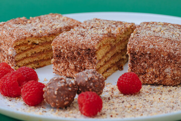 Honey cake with raspberries on a white plate 