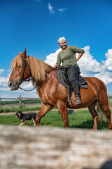 Young beautiful girl rides a horse in the paddock.