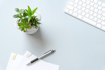 Office desk and plants. オフィスのデスクと植物