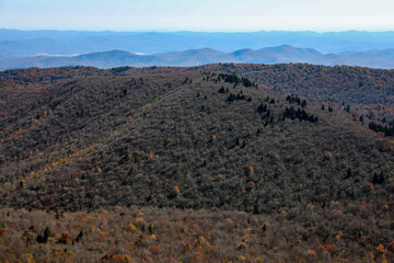 autumn in the North Carolina mountains along Art Loeb trail