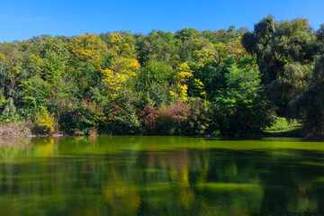 Idyllic green nature with lake in the springtime . Trees reflection in the lake water 