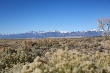 mountain landscape with desert