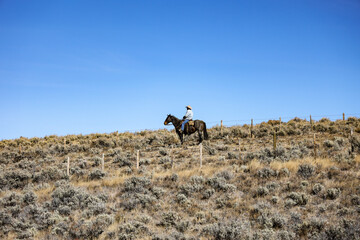 Fototapeta na wymiar horse and rider in the mountains