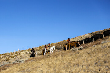 horses and ranchers on mountain 