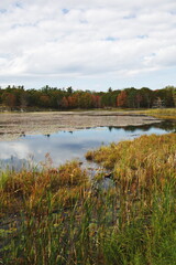 Landscape image of a pond surrounded by autumn colors in Ontario, Canada.