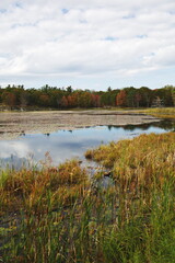 Landscape image of a pond surrounded by autumn colors in Ontario, Canada.