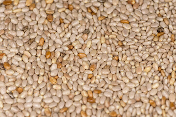 Close up of white chia seeds