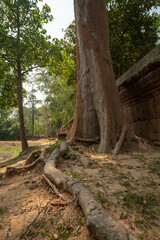 Banteay Srei Temple is an ancient temple in archaeological site in Cambodia.