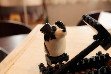 ピアノを弾くボーダーコリー