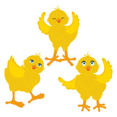 Chick bird cute little animal vector illustration