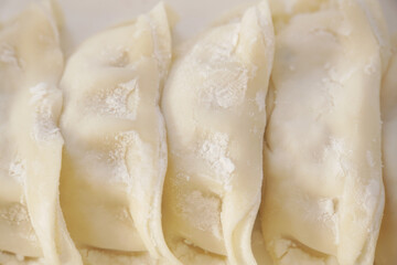 焼く前の生餃子