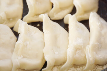 調理前の生ぎょうざ