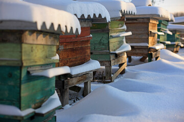 Fototapeta na wymiar Bee hives in the winter snow garden