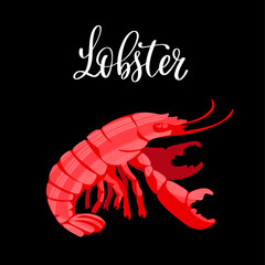 Seafood healthy nutrition product. Red delicious lobster.