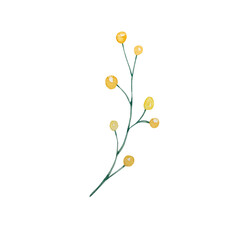watercolor illustration of yellow round flowers on a green branch