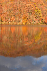 紅葉の湖