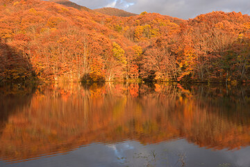 紅葉の湖