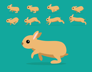 Animal Animation Sequence Rabbit Netherland Dwarf Cartoon Vector