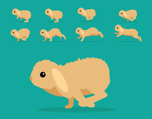Animal Animation Sequence Rabbit Fuzzy Lop Cartoon Vector