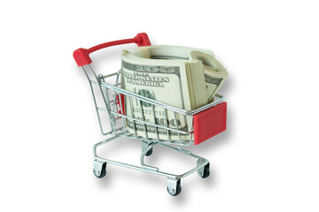 the money dollars in a small shopping cart isolated on a white background with a clipping path