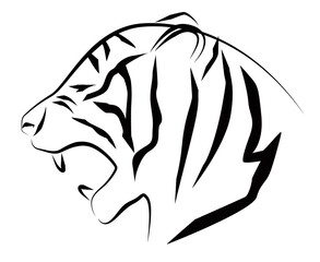 虎の横顔のラインイラスト