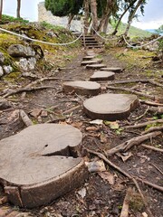 stone pathway in the forest