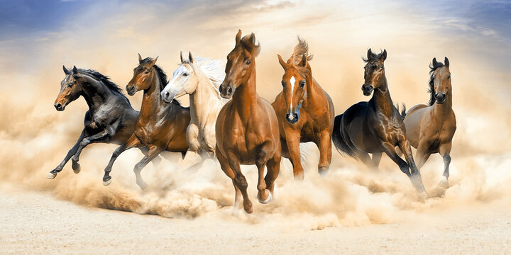 Horses Running Images – Browse 145,997 Stock Photos, Vectors, and Video |  Adobe Stock