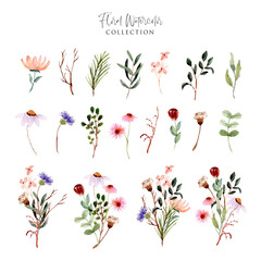 wild flower meadow watercolor collection
