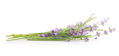 Lavender flowers bundle on a white background