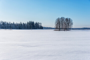 Snow Covered Field in Winter in Latvia