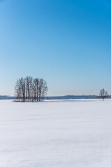 Snow Covered Field in Winter in Latvia