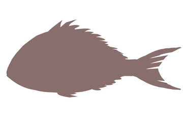 鯛　シルエット