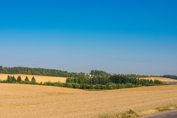 Obraz premium Belorussian fields at harvest time