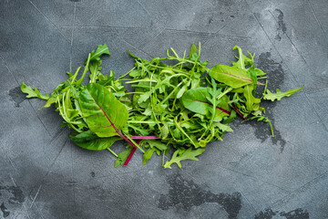 Fototapeta na wymiar Mix Salad leafs, Swiss chard and Arugula, on gray stone background, top view flat lay