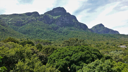Picturesque mountain range against the sky. Rocky steep slopes with green vegetation. At the foot of the mountain there are thickets of trees. South Africa. Cape Town