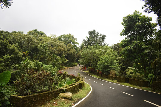 Empty gravel curved asphalt road through green village forest of deciduous trees illuminated by sunbeams in mist. Beautiful summer landscape of clean country path surrounded by woods under cloudy sky.