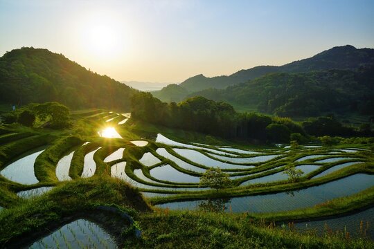 大山千枚田」の写真素材 | 790件の無料イラスト画像 | Adobe Stock