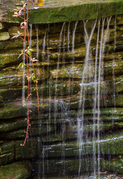 28-81 Woodbine Water Fall