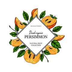 Hand drawn colorful persimmon design. Vector illustration in colored sketch style.