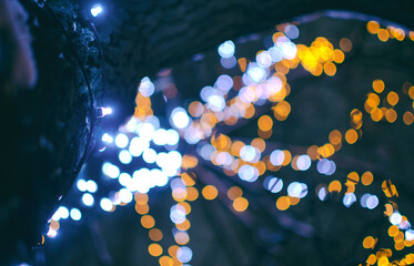 background with flowers