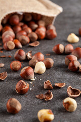 closeup selective focus image of hazelnuts in shells scattered from a vintage burlap sack onto dark background. Some are shelled and some are cracked. A metal nut cracker is there to crack open nuts.