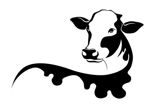 Black silhouette cow isolated on white. Hand drawn vector illustration.