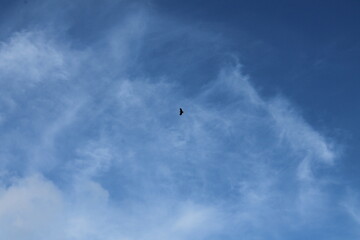 view of clouds and clear blue sky