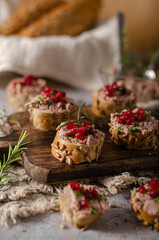 Homemade pate on heathy bread with cranberries