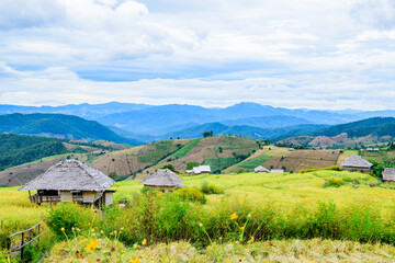 Pa Bong Piang Rice Terraces at Chiang Mai Province