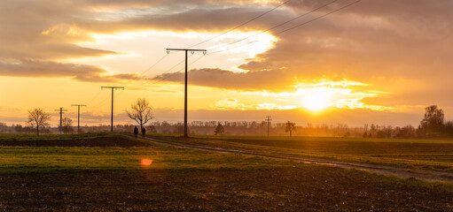 Obraz premium sunset over the field